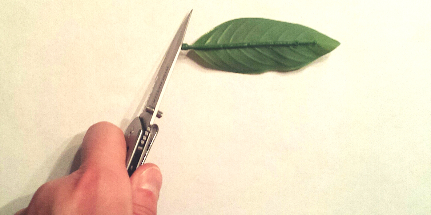 Betta Hammock Fix Stem Cut