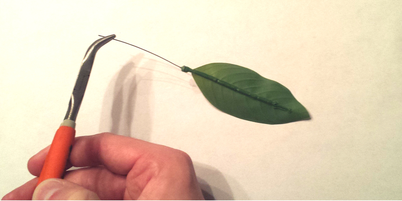 Betta Hammock Fix Wire Removal